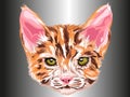 Cat retreat looking forward with green eyes in orange, white and brown with gray background type artistic drawing in vector