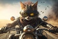 Cat rider on motorcycle, animal biker riding fast on deserted road, generative AI