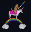 Cat rides an unicorn on the rainbow 2