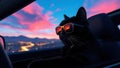 Cat Riding In Sunset Light Royalty Free Stock Photo