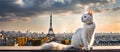Cat on the rooftops of Paris with the Eiffel Tower - Banner text space Royalty Free Stock Photo