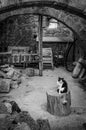 Cat in the ruins