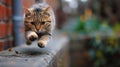 A cat running on a brick ledge with its paws outstretched, AI