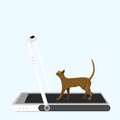 Cat running on treadmill. Vector illustration of training cat on treadmill