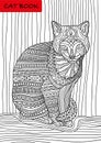 Cat's book. Colorized patterns cat sits and looks seriously Royalty Free Stock Photo