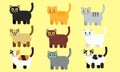 Cat`s colour vector for art work Royalty Free Stock Photo