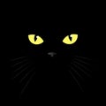 Cat`s eye of a black cat. eyes of a yellow cat in the dark. Vector illustration Royalty Free Stock Photo