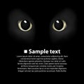 Cat's eyes on a black background