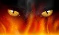Cat's eyes on fire Royalty Free Stock Photo