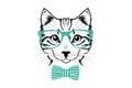 Cat`s head with green glasses and cute tie.