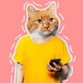 Cat`s head on male body, using smartphone. Contemporary artwork collage.