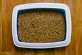 Cat`s litter box with filler on floor. Top view Royalty Free Stock Photo