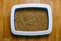 Cat`s litter box with filler on floor. Top view Royalty Free Stock Photo