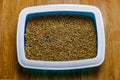 Cat`s litter box with filler on floor. Top view Royalty Free Stock Photo
