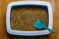 Cat`s litter box with filler and scoop on floor Royalty Free Stock Photo