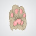 Cat`s paw. sketch graphics