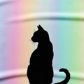 The cat s profile is sharp with distinct ears whiskers and tail visible Royalty Free Stock Photo