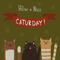 Cat's Saturday Postcard.