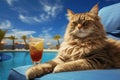 Cat's Ultimate Vacation by the Swimming Pool. Generative By Ai Royalty Free Stock Photo