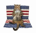 Cat with sack of dollars on air bed Royalty Free Stock Photo