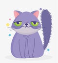 Cat with sad face domestic cartoon animal, cats pets