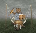 Cat on swing with beer 2 Royalty Free Stock Photo