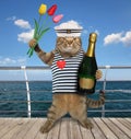 Cat with wine on boardwalk Royalty Free Stock Photo