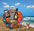 Cat sailor in a sun lounger 2 Royalty Free Stock Photo