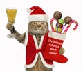 Cat Santa with the Christmas stocking Royalty Free Stock Photo