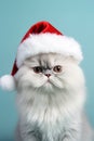 Cat with Santa Claus hat in front of blue background Royalty Free Stock Photo