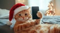 Cat in santa hat taking selfie against bright room background. Royalty Free Stock Photo