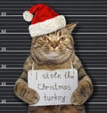 Cat Santa stole Christmas turkey