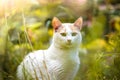Cat in saturated grass looking at the camera Royalty Free Stock Photo