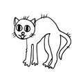 Cat scared sketch icon, sticker, card, poster hand drawn doodle, scandinavian, minimalism, monochrome. single element for design.