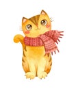 Cat in the scarf. Cute kitten character. Mascot of goods for pets, ÃÂat clothes