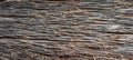 Cat scratch wood texture Royalty Free Stock Photo