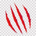 Cat scratches. Animal claws marks in red. Monster or dinosaur attack slash stripes on transparent background. Vector Royalty Free Stock Photo