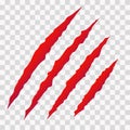 Cat scratches. Animal claws marks in red. Monster or dinosaur attack slash stripes on transparent background. Vector Royalty Free Stock Photo
