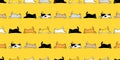 Cat seamless pattern calico kitten vector neko running sleeping breed character cartoon pet scarf isolated repeat wallpaper tile b