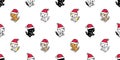 Cat seamless pattern christmas santa claus hat kitten calico sitting vector dog pet breed cartoon repeat wallpaper tile background