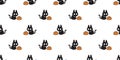 cat seamless pattern halloween pumpkin jack o lantern black kitten cartoon neko calico spooky ghost vector pet breed doodle Royalty Free Stock Photo