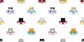 cat seamless pattern inflatable swimming pool ring kitten calico munchkin neko vector cartoon pet sea beach doodle