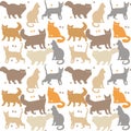 Cat seamless pattern. Kitten vector isolated background. Funny cats different breeds color pattern.