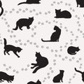 Cat seamless pattern. Pets background.