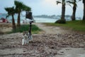 Cat by the seaside in Paphos Royalty Free Stock Photo