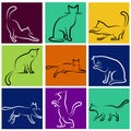 Cat series