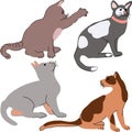 Cat set. Collection of animals. colorful illustration. Vector drawing set kitten