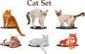 Cat Set