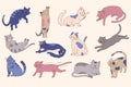 Cat set. Cute funny colorful cats in different poses. Doodle style drawing. Adorable pets. Sleeping and running kitty