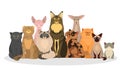 Cat set. Cute funny group of animal of various breed